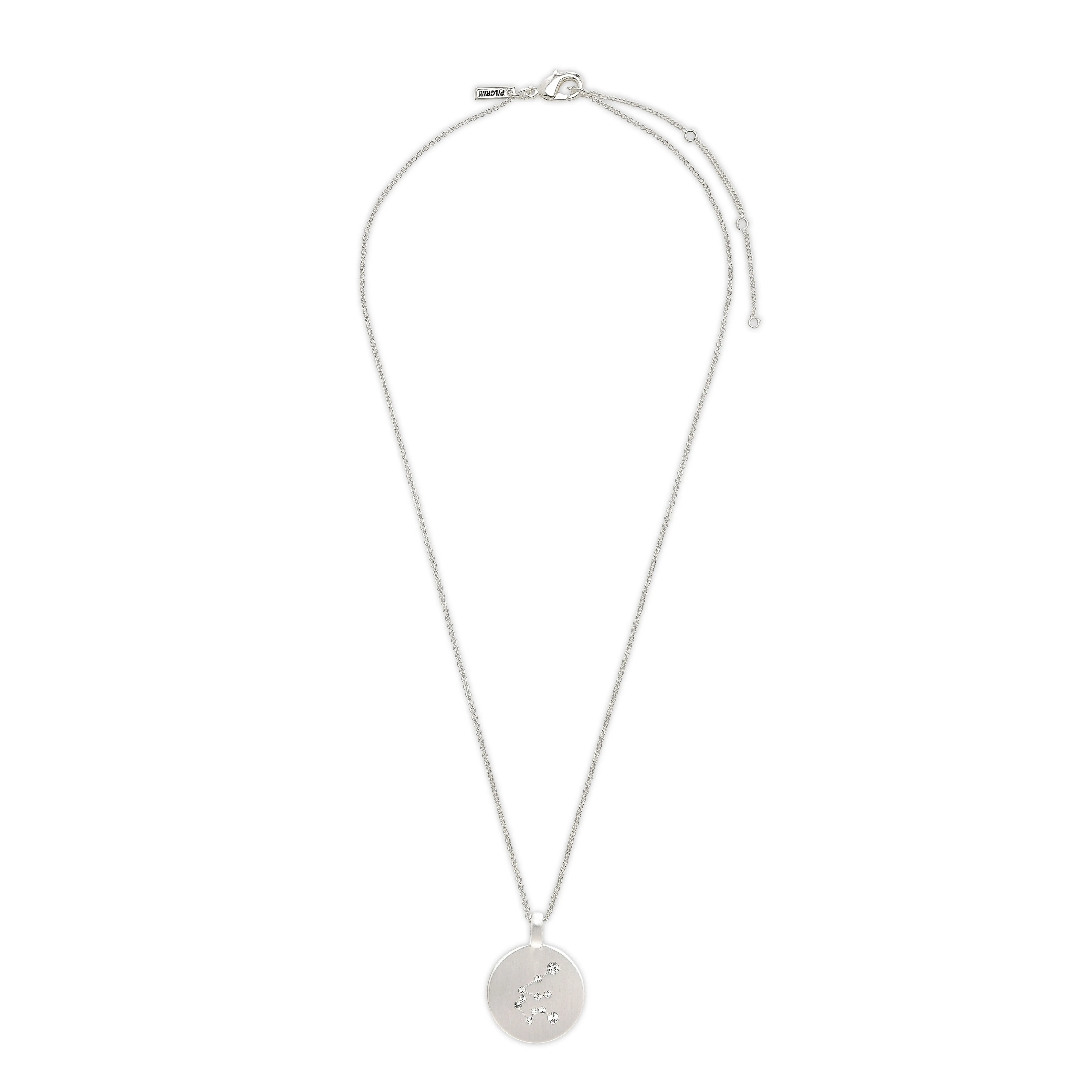 AQUARIUS Zodiac Sign Coin Necklace, silver-plated