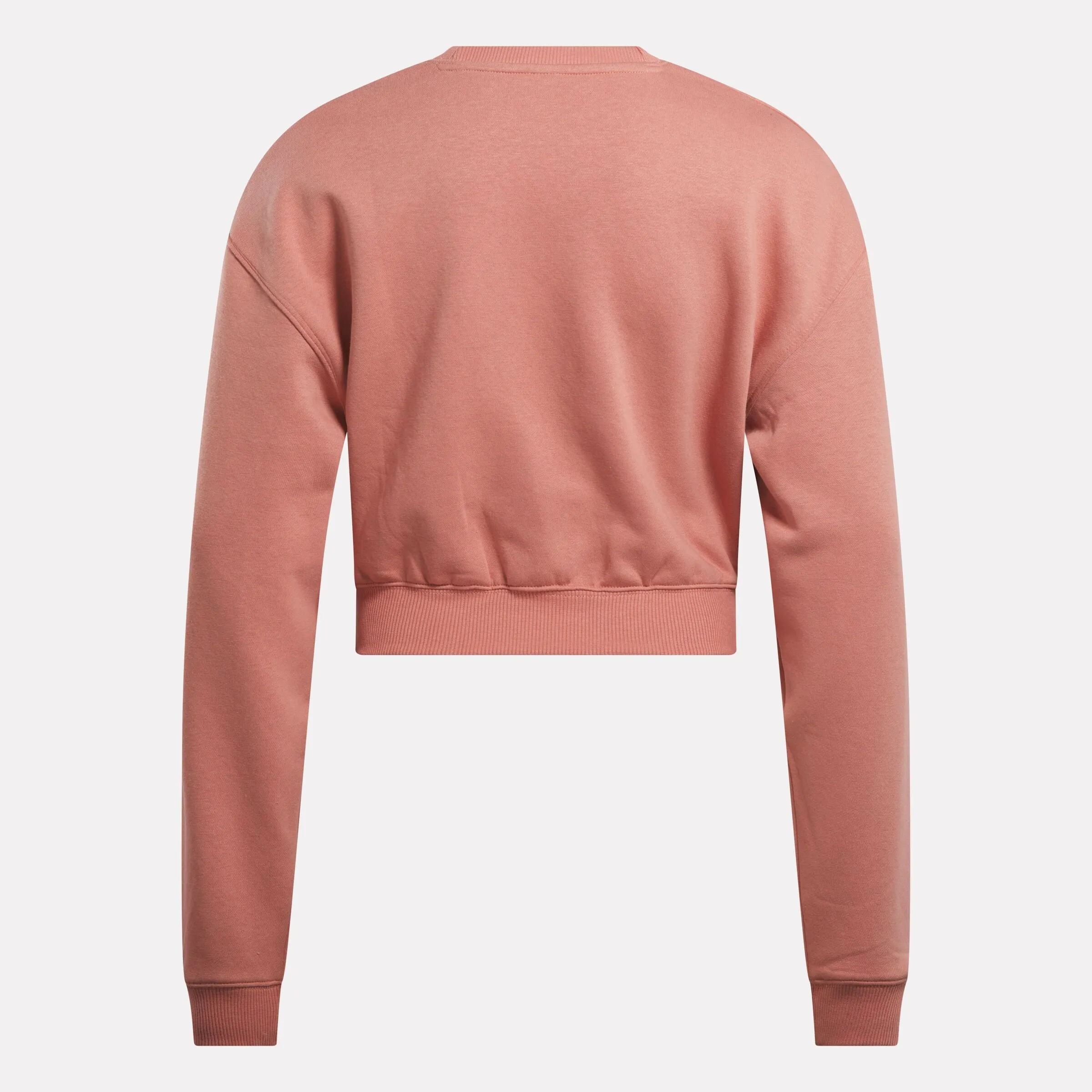 Archive Evolution Vector Layer Top Pink Clay