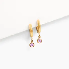 Birthstone Charm Hoop Earrings