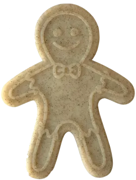 Chew Resistant Toy | Nylon Gingerbread Man