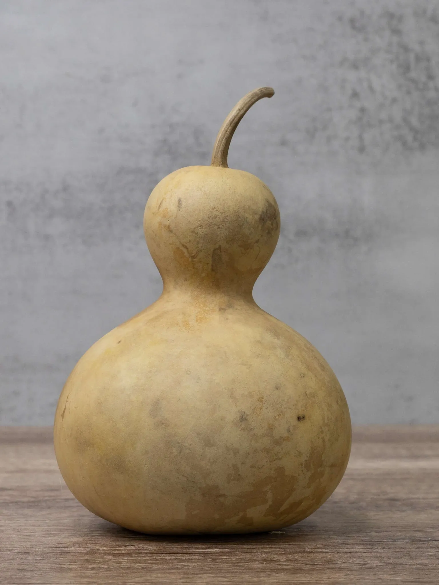 Dried 4 Inch Bottle Gourd