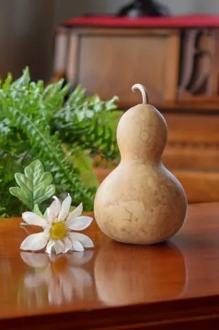 Dried 4 Inch Bottle Gourd