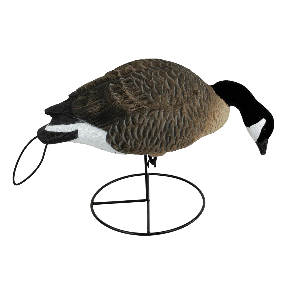 Flight Full Body Canada Goose Feeders