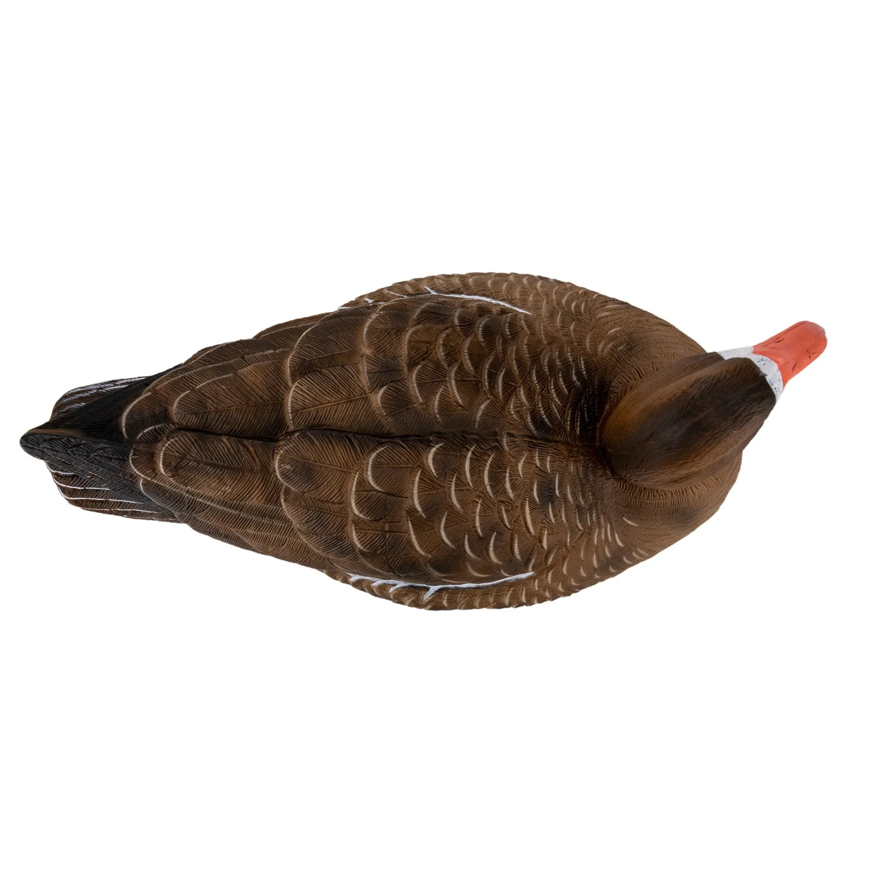 Flight Specklebelly Floater Decoys