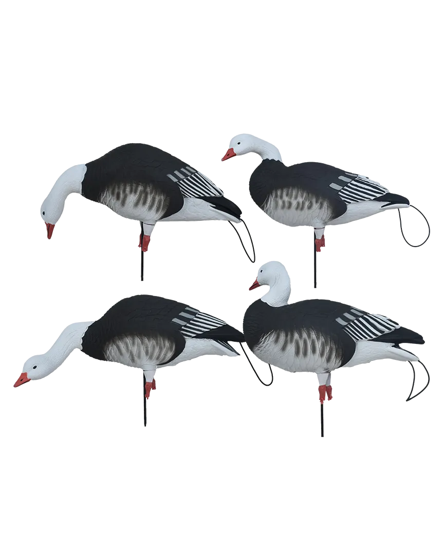 GHG Pro Flex Full Body Goose Decoy - Blue Goose Harvester Pack