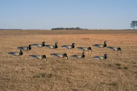 GHG Pro-Grade Canada Honker Goose Sock Decoys