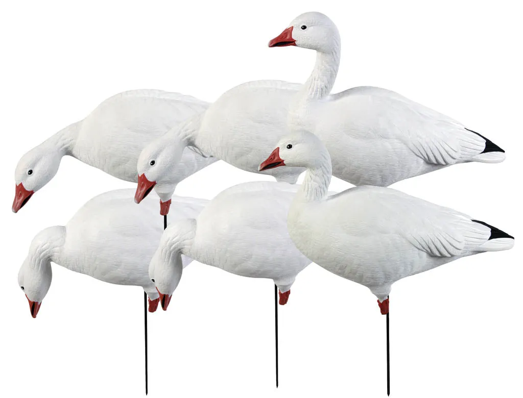 GHG Pro-Grade Full Body Snow Goose Harvester 6-Pack