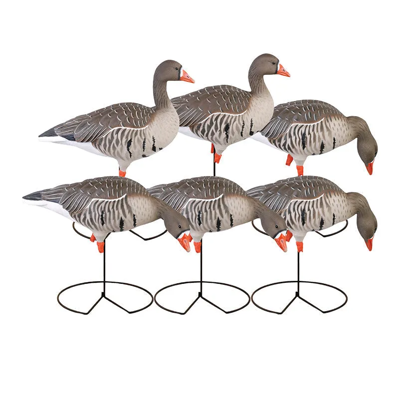 GHG Pro-Grade Full Body Specklebelly Decoys