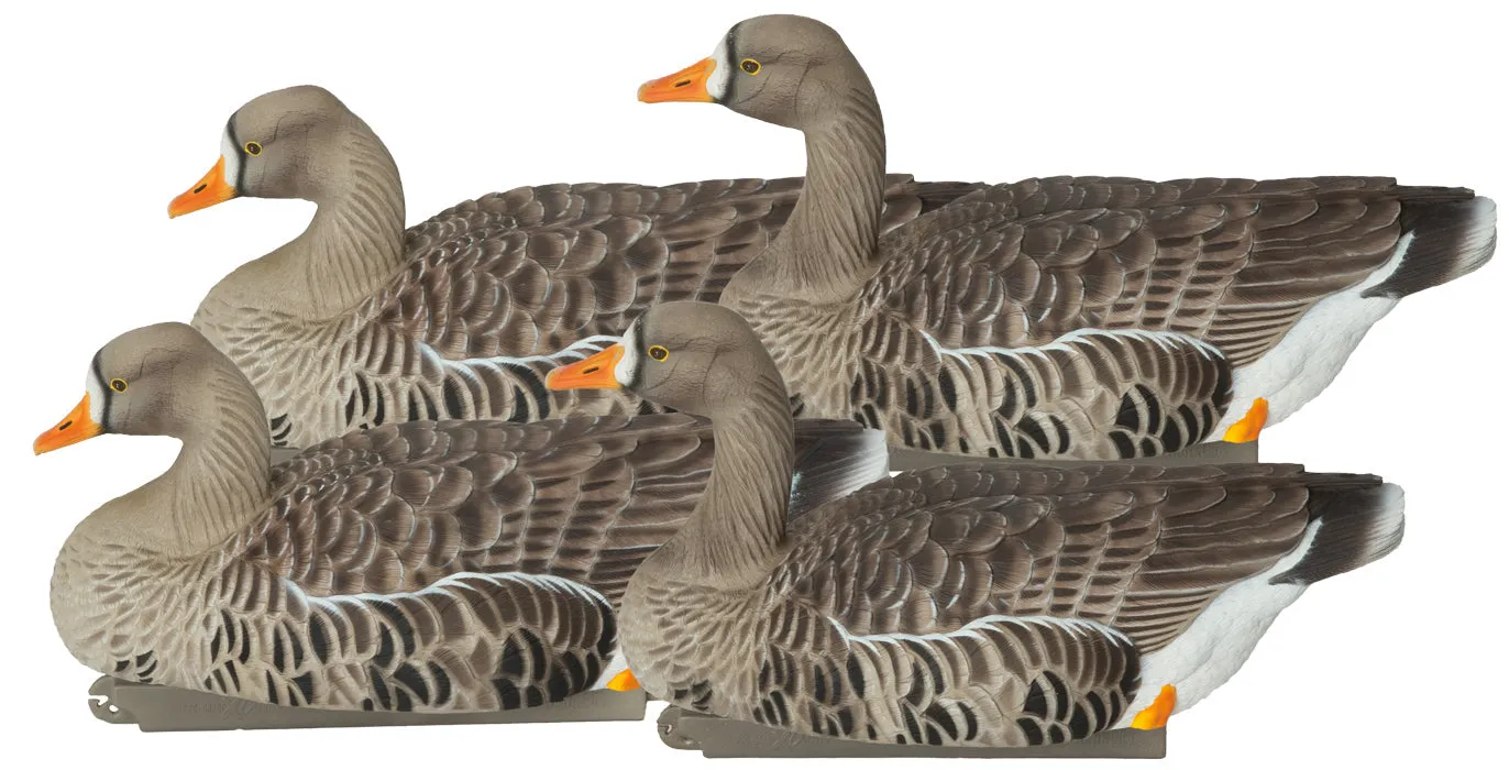 GHG Pro-Grade XD Specklebelly Floater Decoys - Active Pack