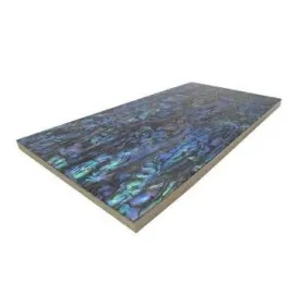 Large 200mm x 100mm Paua Shell Tile