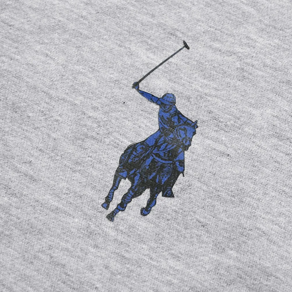 Polo Republica Men's Signature Pony Printed Fleece Pullover Hoodie