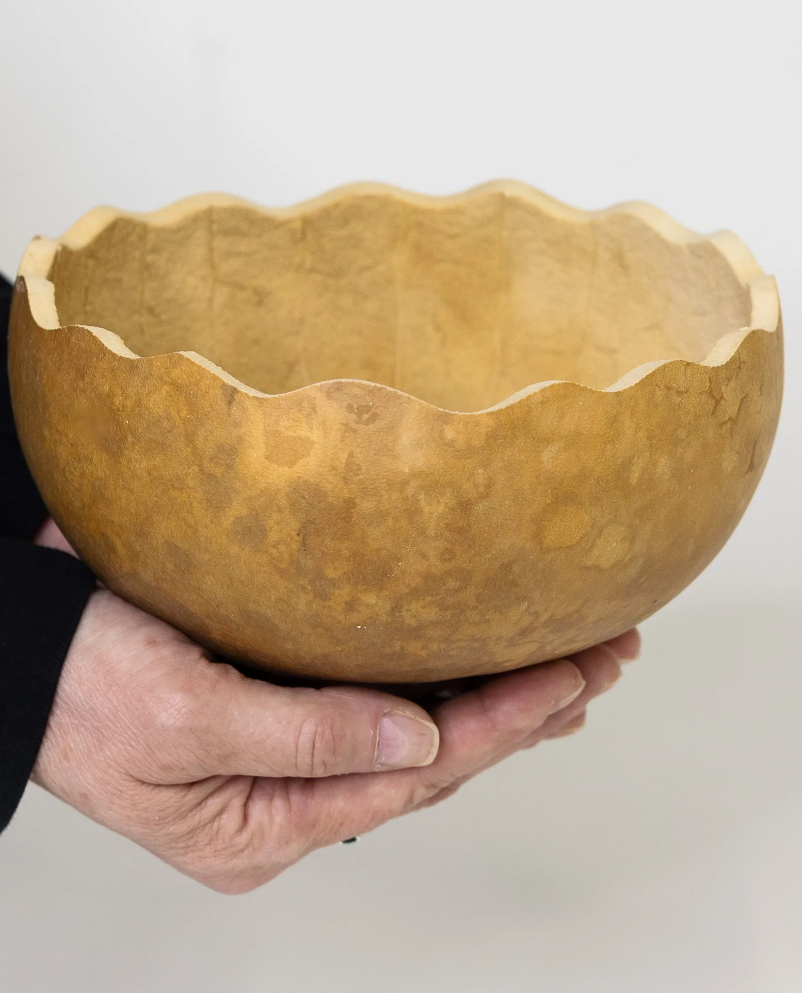 Raw 7 Inch Scalloped Cut Bowl